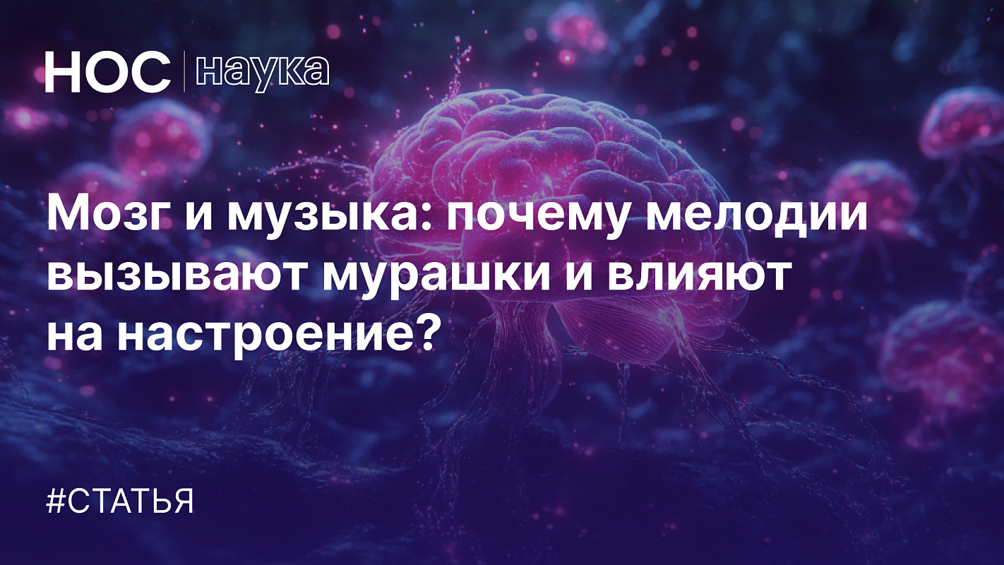 Описание изображения