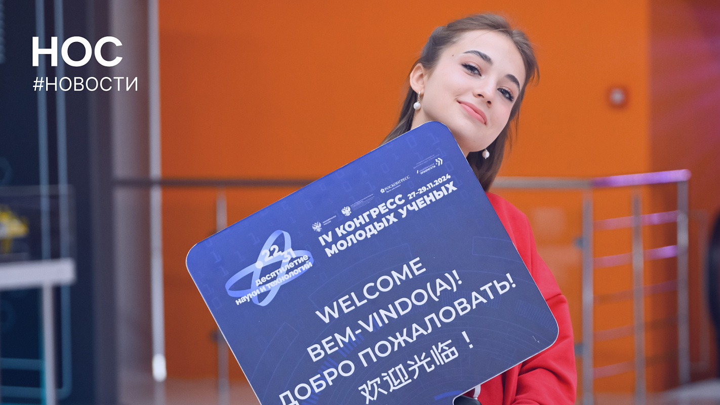 Описание изображения